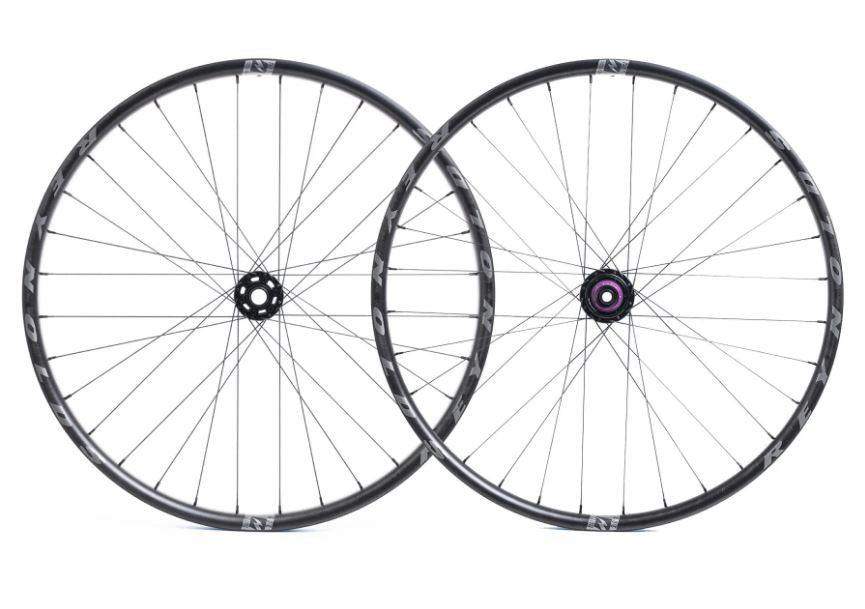 BlackLabel 309 DH Expert