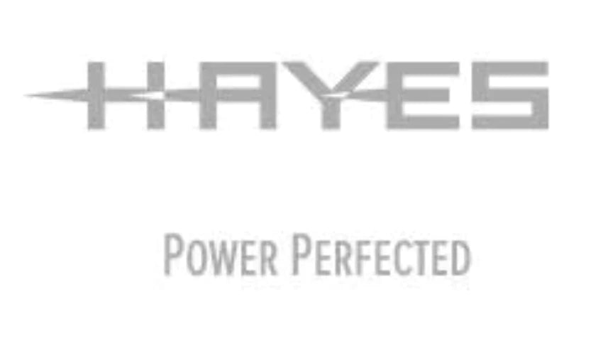 Hayes Dominion T-Series Spares