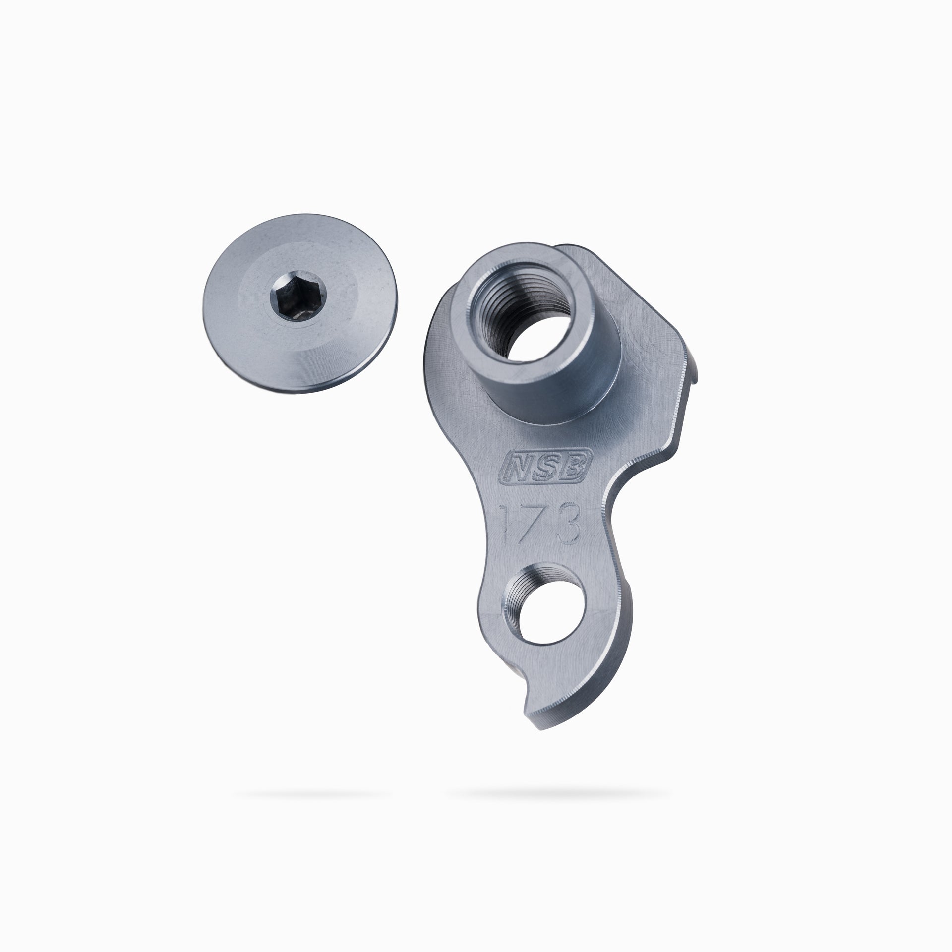Evil Following V2 Derailleur Hanger