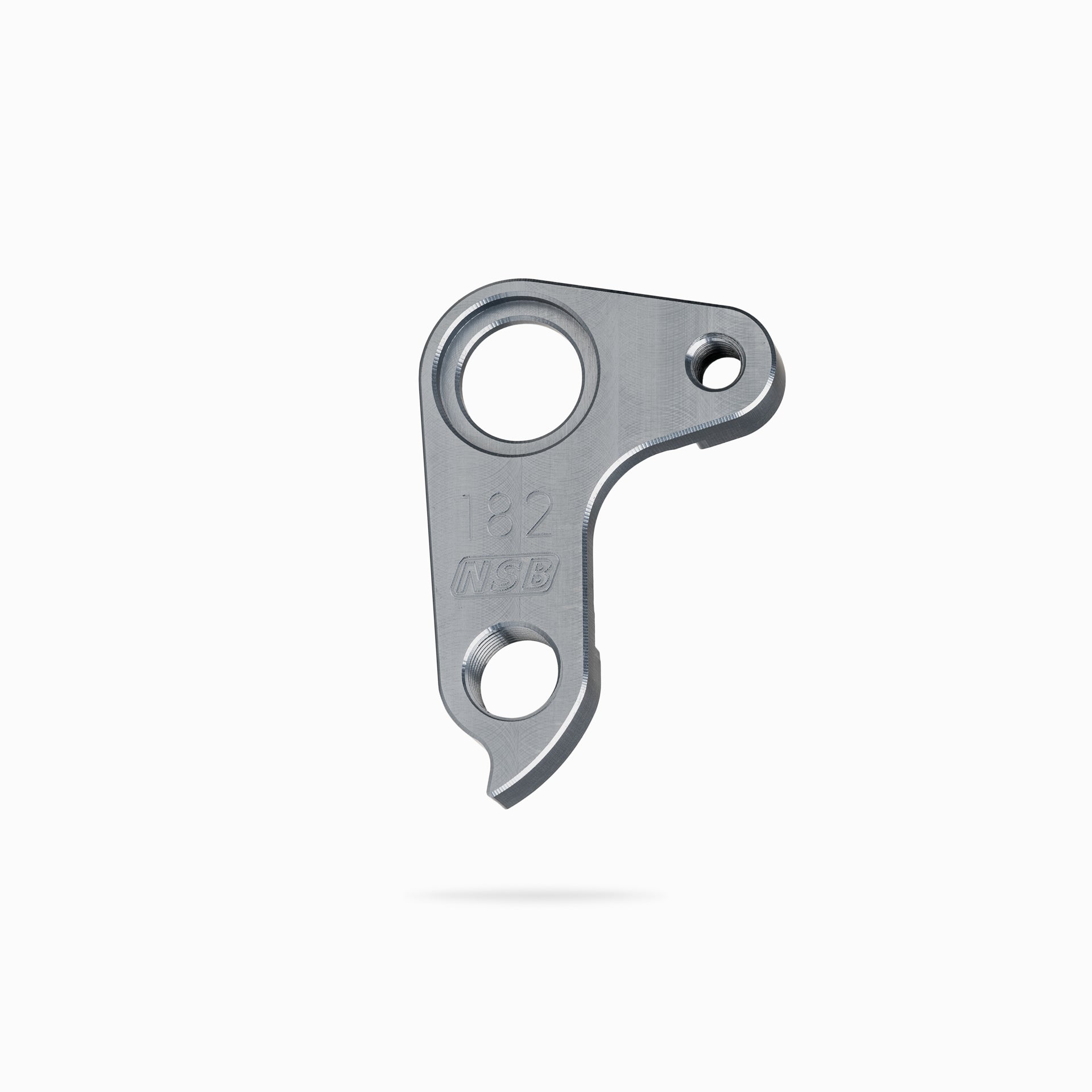 Raaw Derailleur Hanger