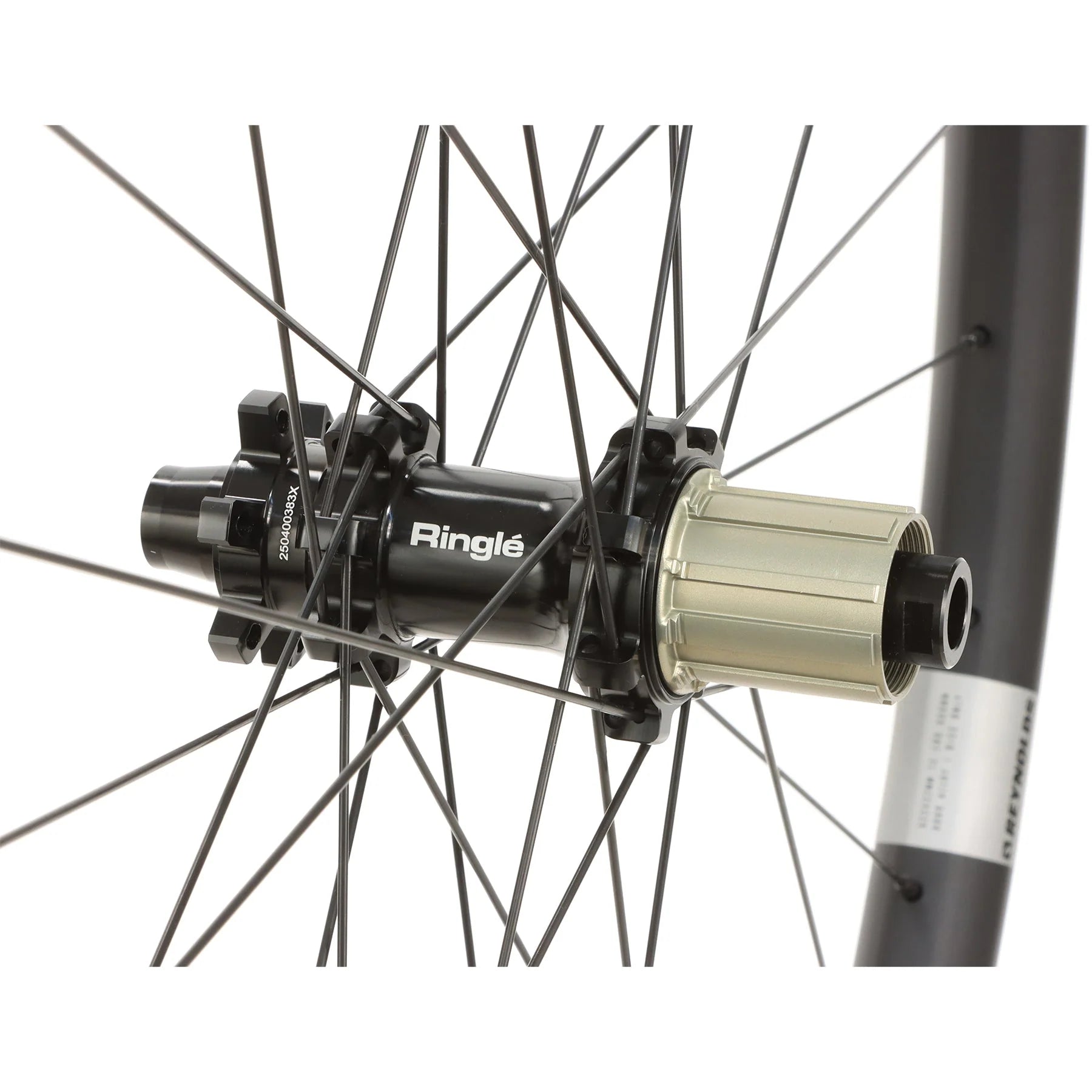 Alloy XC Pro/Expert