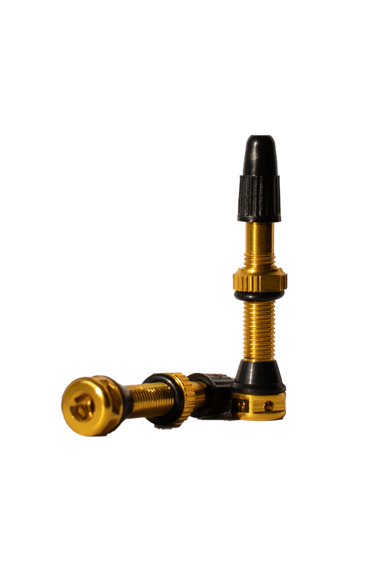 PANCHO MTB Tubeless Valves - GAMUX